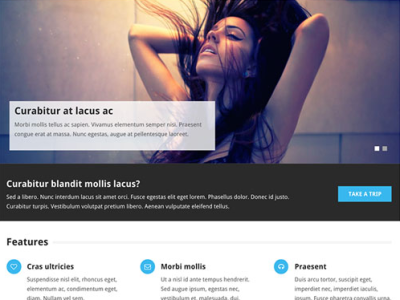 MyThemeShop Point Pro WordPress Theme