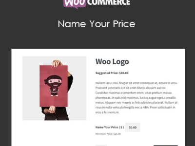 WooCommerce Name Your Price