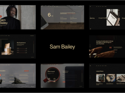 Sam Bailey - Personal CV/Resume WordPress Theme