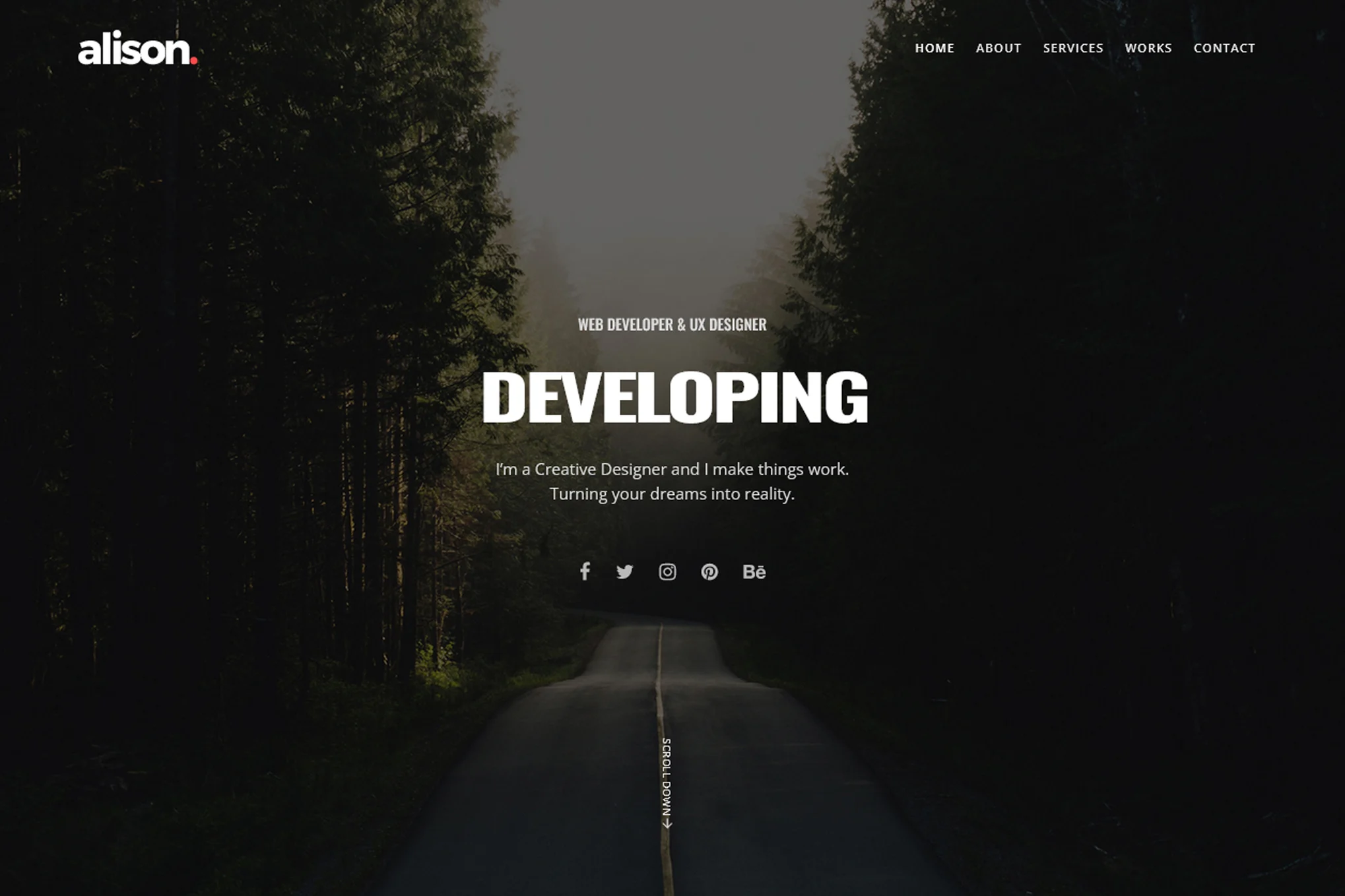 Alison - Portfolio HTML Template