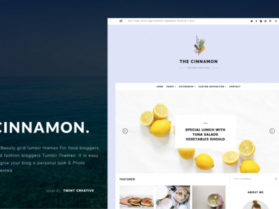 Cinnamon  Casual Grid Tumblr Theme