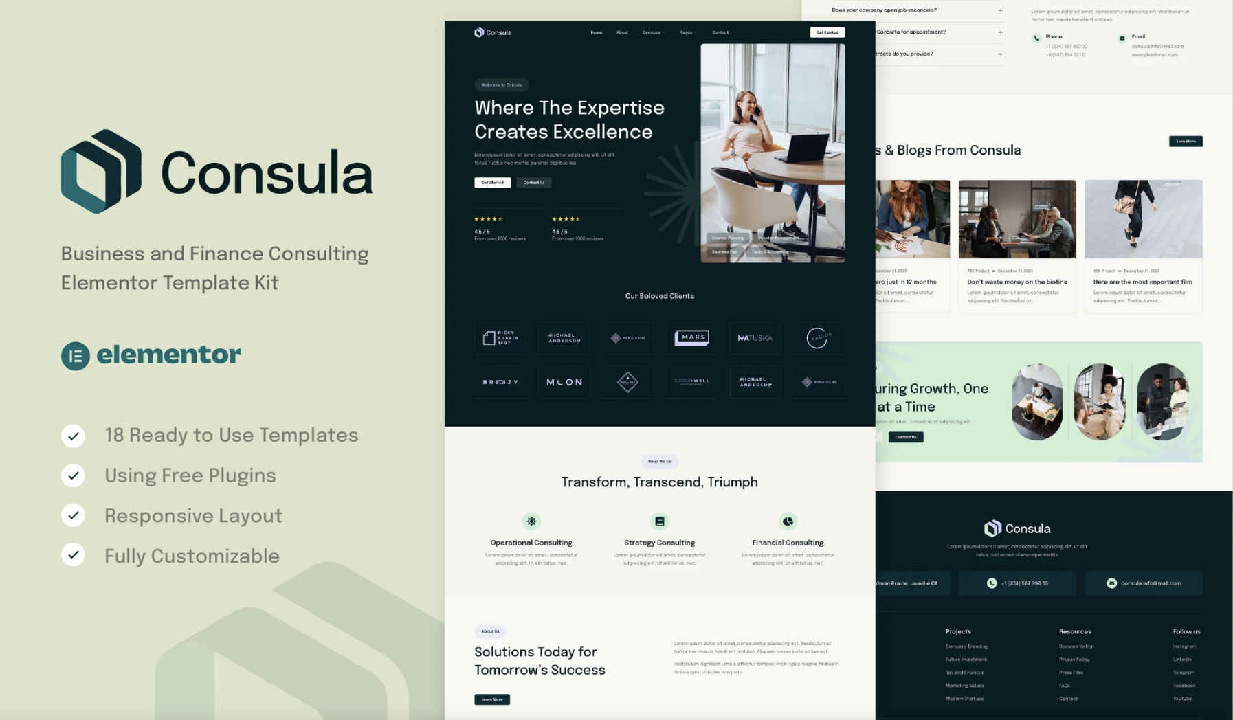 Consula - Business and Finance Consulting Elementor Template Kit