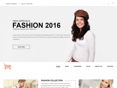 Crazy Fashion - Shopify Responsive Theme