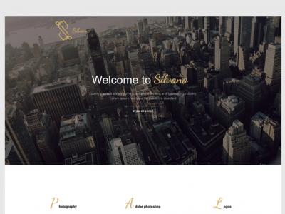 Silvana - Agency Unbounce Landing Page