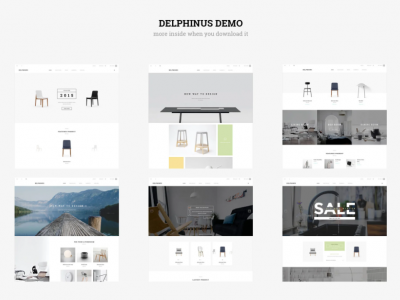 Delphinus - Creative Multi-Purpose Magento Theme