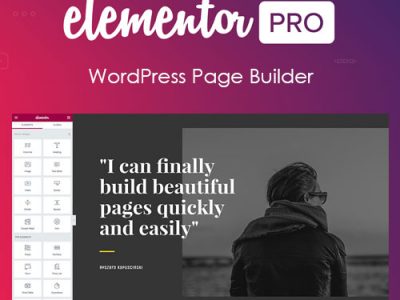 Elementor PRO WordPress Page Builder + Pro Templates