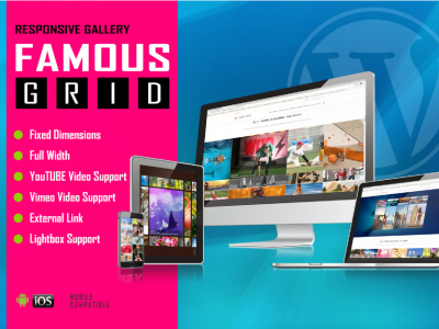 Famous - Responsive Image And Video Grid Gallery