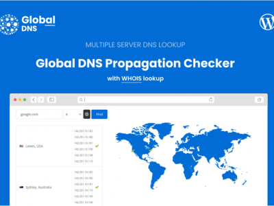 Global DNS - DNS Propagation Checker