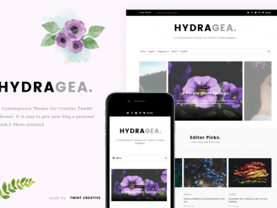 Hydragea -Responsive Tumblr Theme