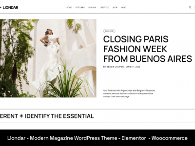 Liondar - Modern Magazine Theme