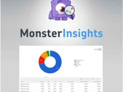 MonsterInsights – Ads Addon