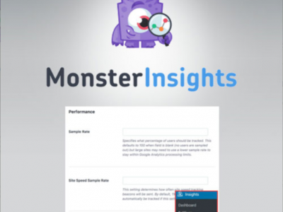 MonsterInsights – Performance Addon