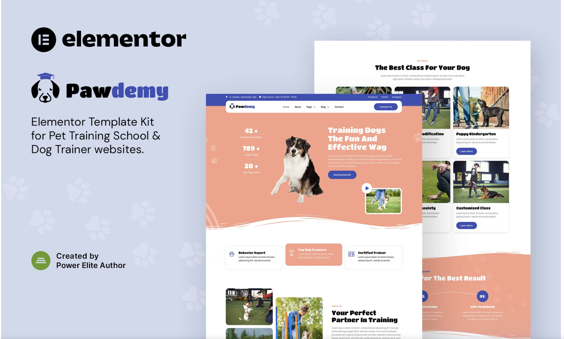 Pawdemy – Pet Training Academy Elementor Template Kit