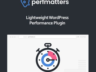 Perfmatters WordPress Plugin