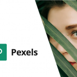 Pexels - Import Free Stock Images into WordPress