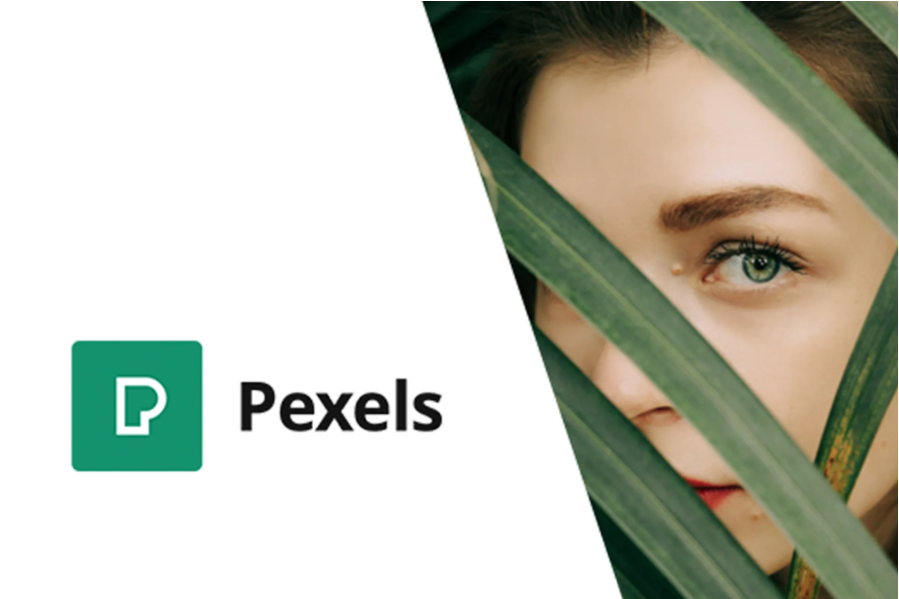 Pexels - Import Free Stock Images into WordPress