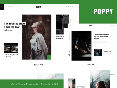 Poppy - Blog & Magazine Elementor Pro Template Kit