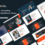 Consoel - Consulting Business WordPress Theme
