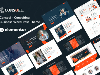 Consoel - Consulting Business WordPress Theme