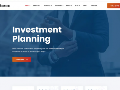 Borex - Business And Finance WordPress Theme
