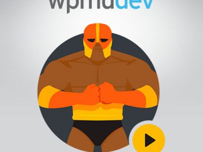 WPMU DEV Defender Pro