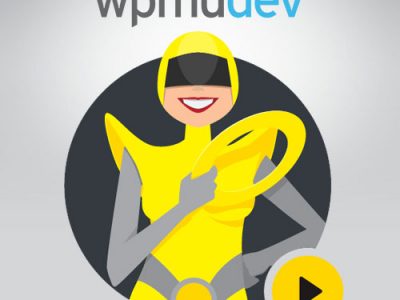 WPMU DEV Hummingbird Pro