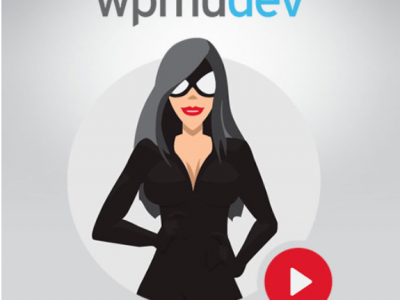 WPMU DEV SmartCrawl Pro