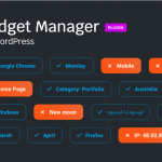 Widget Manager for WordPress