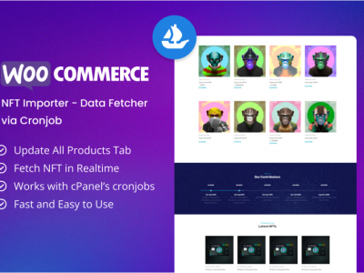 WooCommerce NFT Importer - Data Fetcher