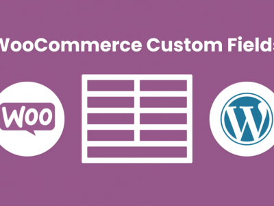 WooCommerce custom fields for products WeasyFields