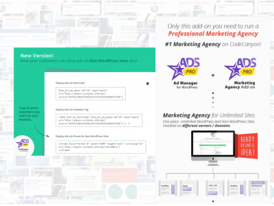 WordPress Marketing Agency - Ads Pro MA add-on