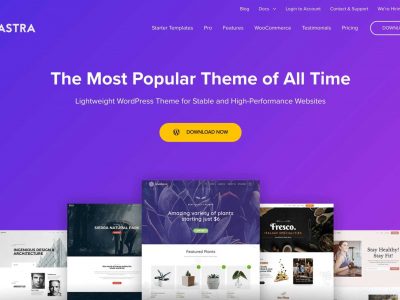 Astra Theme WordPress Plugin Premium